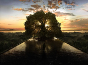 tree-of-life-movie